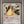 Dragonite Ex 038/054 Rulers of the Heavens Holo 1st Edition  2003 Japanese PSA 7