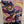 Ichiban Kuji F, H Prize Yu-Gi-Oh! Dark Magician Girl Poster With Vintage Card🔥
