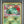 2022 Pokemon Go Radiant Venusaur 004/078 PSA 10 Gem Mint Holo Rare card shining