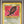 Pokemon TCG -  Shining Celebi 106/105 - Holo Neo Destiny PSA 8 NM-MINT