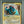 Pokemon Feraligatr 2/101 Dragon Frontiers PSA 7 Delta Species