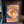 Flareon (Delta Species) - Delta Species (DS)