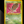 Pokemon Neo Destiny 2002 Shining Celebi 106/105 NM- LP+