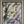 PSA 10 GEM MINT Celebi V 245/264 - Fusion Strike Pokemon TCG Alt Art